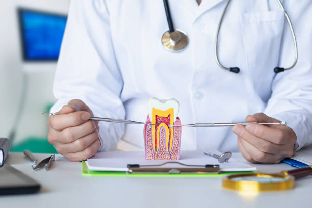 Best Emergency Treatment for Dental Infections or Abscesses in Algonquin, IL